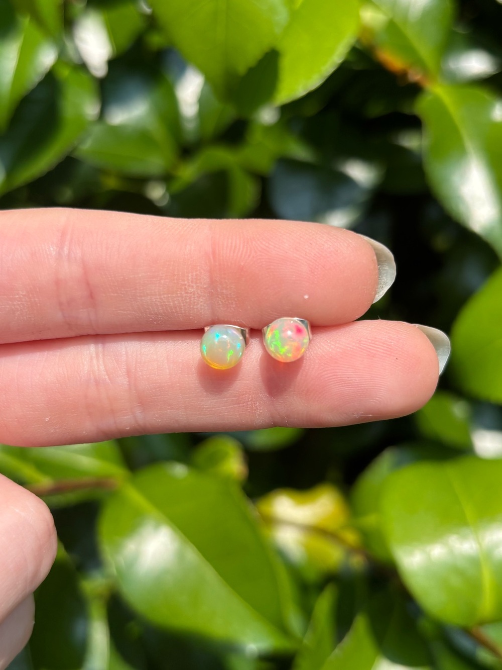 Opal studs